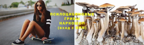 spice Алексин